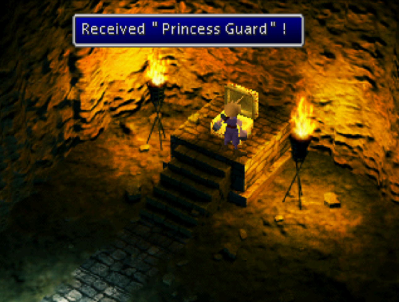 Princess Guard Received